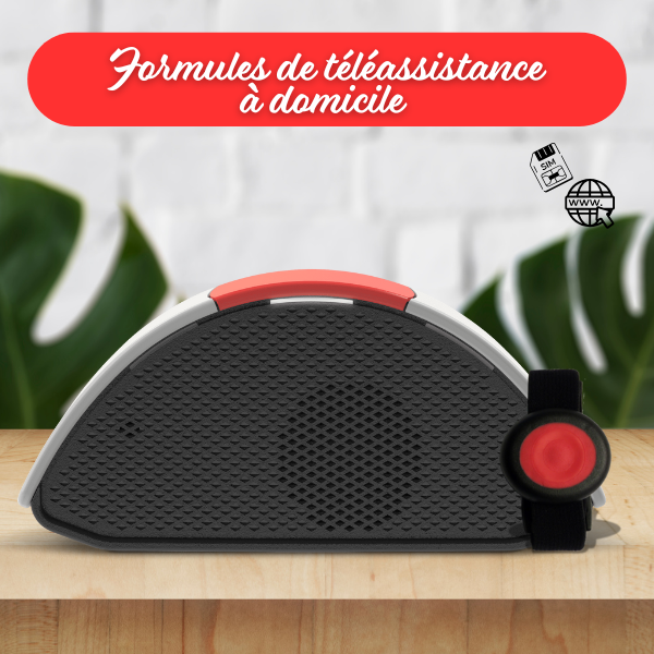 T�l�assistance var formule Domicile